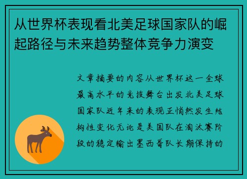 从世界杯表现看北美足球国家队的崛起路径与未来趋势整体竞争力演变